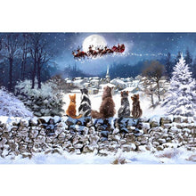 Fibre Optic "Christmas Cats" Canvas by Richard Macneil 60cm x 30cm