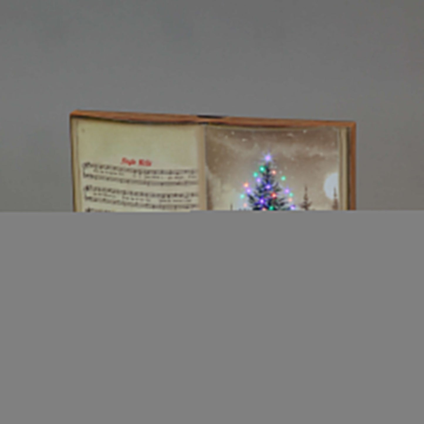 Battery Operated Fibre Optic 35x25cm Book Canvas