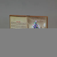 Battery Operated Fibre Optic 35x25cm Book Canvas