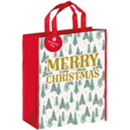Merry Christmas Gift Bag
