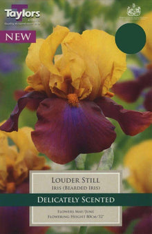 Taylors Iris Louder Still Bulb Pack