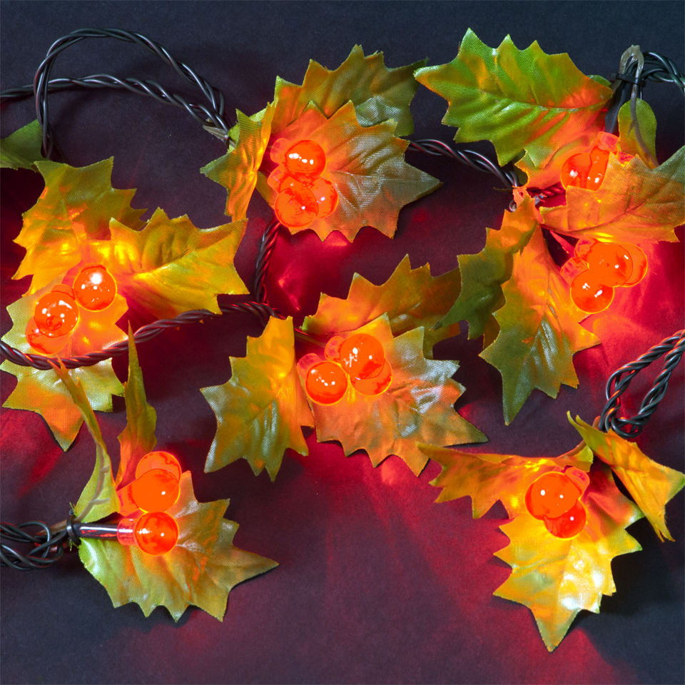 7.3m/24ft Red Holly Berry Indoor & Outdoor 100 Static LED Christmas Lights