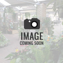 1.2m Black Micro Dot Tree w/500 WW LEDs