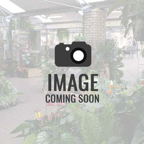 120cm Infinity Bulb Garland
