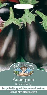 Mr Fothergills Aubergine Black Beauty Seeds