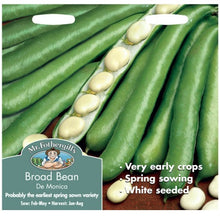 Mr Fothergills Broad Bean De Monica Seeds
