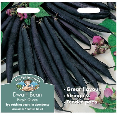 Mr Fothergills DWARF FRENCH BEAN Purple Queen Seeds