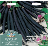Mr Fothergills DWARF FRENCH BEAN Purple Queen Seeds