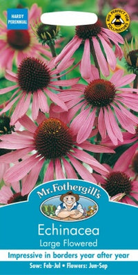 Mr Fothergills ECHINACEA Large Flowered Seeds
