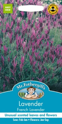 Mr Fothergills Lavender French Lavender Seeds