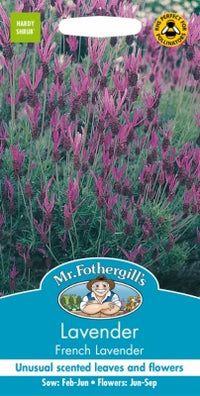 Mr Fothergills Lavender French Lavender Seeds