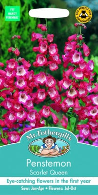 Mr Fothergills Penstemon Scarlet Queen Seeds