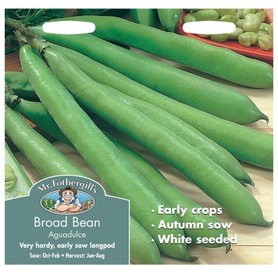 Mr Fothergills BROAD BEAN Aguadulce