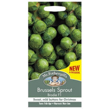 Mr Fothergills Brussels Sprout Brodie F1 Seeds