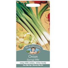 Mr Fothergills Onion (Spring) Eiffel Seeds