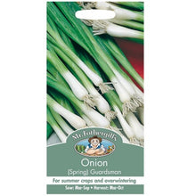 Mr Fothergills Onion (Spring) Guardsman Seeds