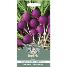 Mr Fothergills Radish Viola Seeds