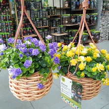Basket Bouquets - Meadow