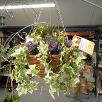 Regal Basket - Lilac Bloom