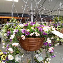 Regal Basket - Lilac Bloom