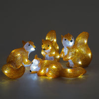 Set of Acrylic Squirrels