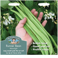 Mr Fothergills Runner Bean Moonlight Seeds