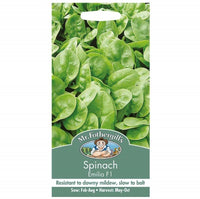 Mr Fothergills Spinach Emilia F1 Seeds