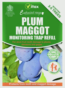Plum Maggot  Refill