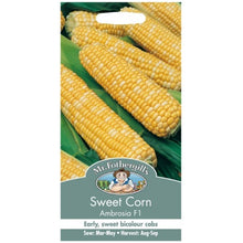 Mr Fothergills Sweet Corn Ambrosia F1 Seeds