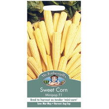 Mr Fothergills SWEET CORN Minipop F1 Seeds