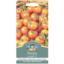 Mr Fothergills TOMATO Sungold F1 Seeds